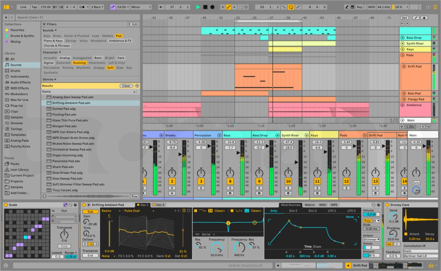 Ableton Live Suite 12.3.5 [Win]